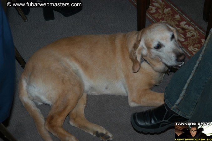 Platinum After Dark  2003