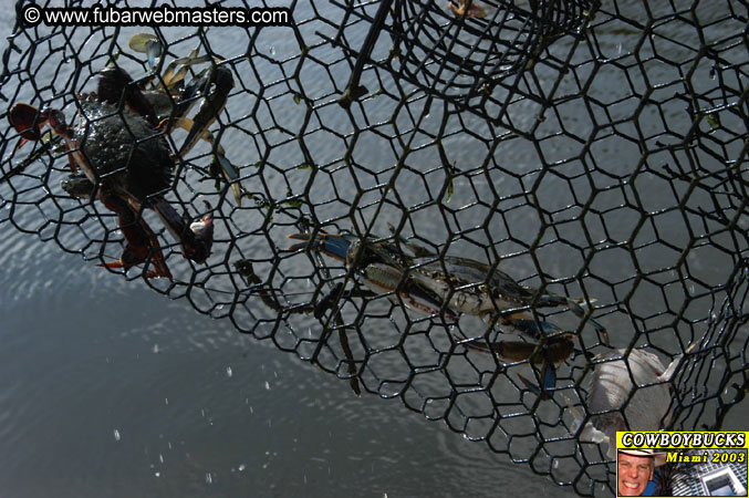 The Endless Internext Party 2003