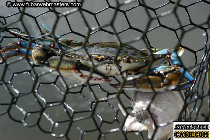 The Endless Internext Party 2003