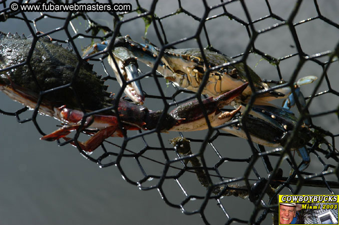 The Endless Internext Party 2003