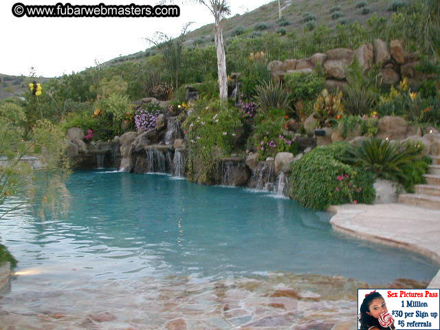 Chicken N' Disco Gallery 2003