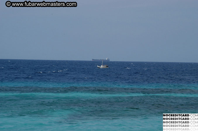 Around the Hotel 2003