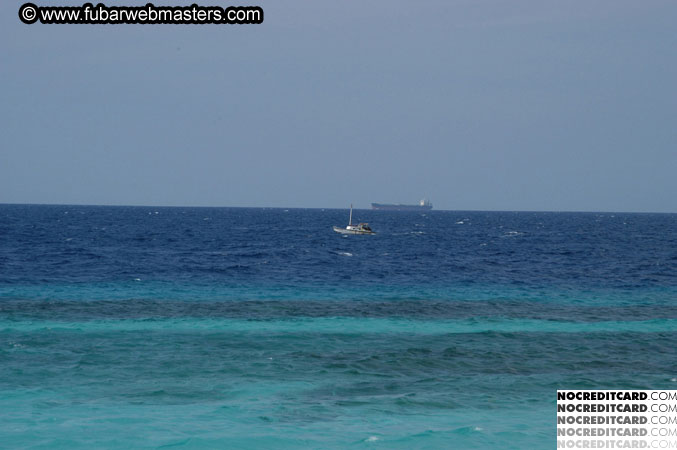 Around the Hotel 2003