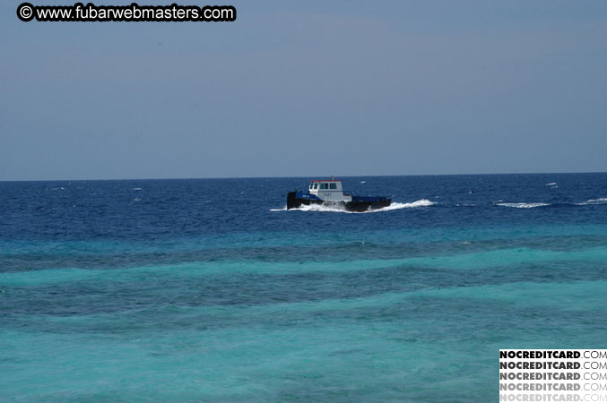 Around the Hotel 2003