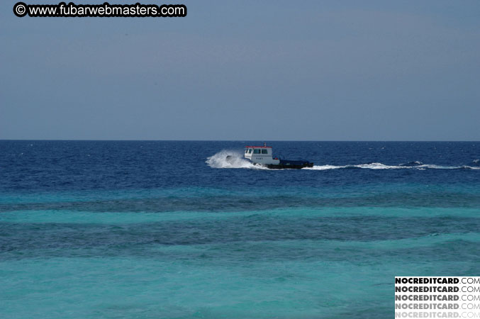 Around the Hotel 2003