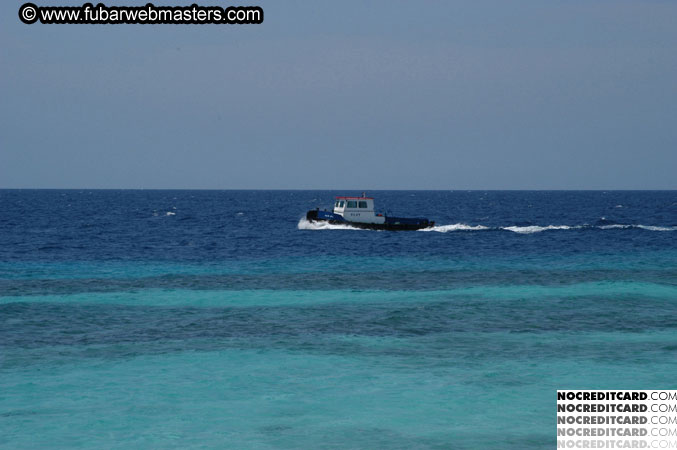 Around the Hotel 2003