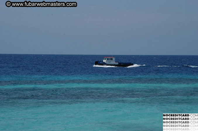 Around the Hotel 2003