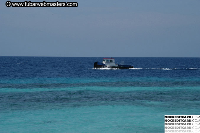 Around the Hotel 2003