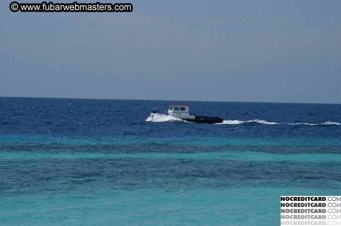 Around the Hotel 2003