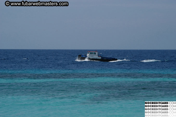 Around the Hotel 2003