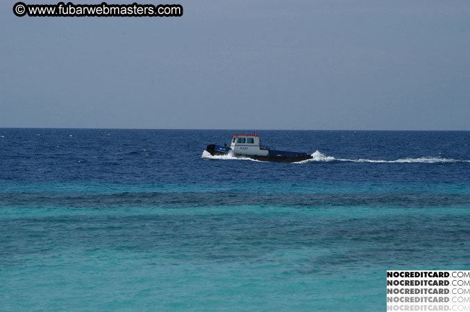 Around the Hotel 2003