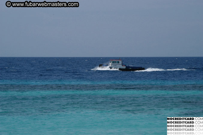 Around the Hotel 2003