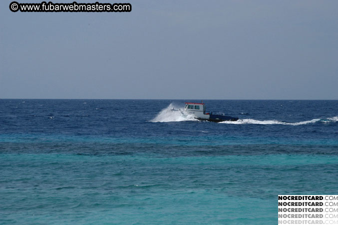 Around the Hotel 2003