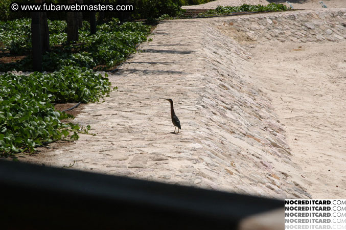 Around the Hotel 2003