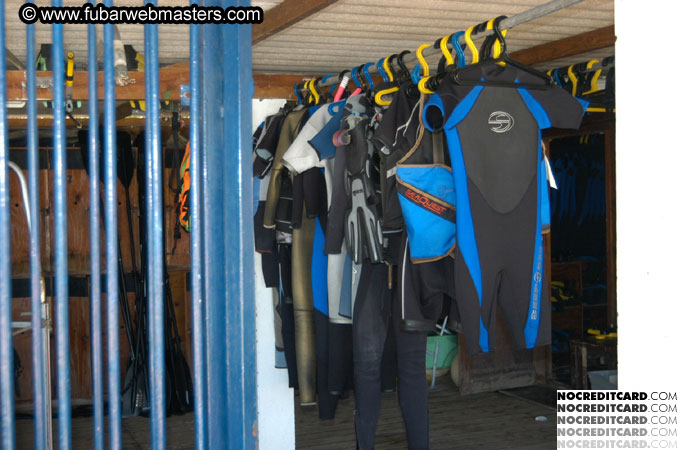 Brunch & Snorkle 2003