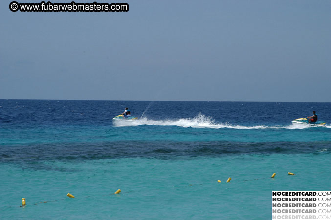 Brunch & Snorkle 2003