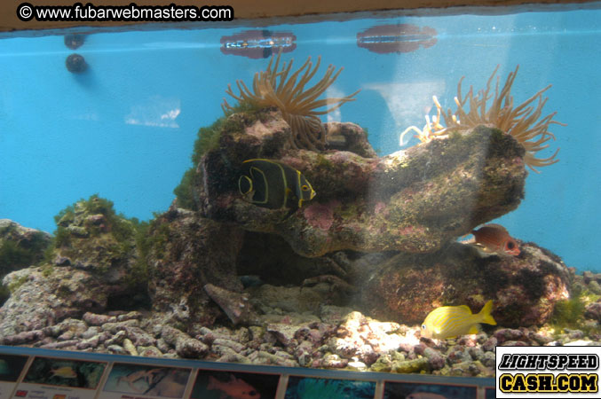 Encounter the Dolphins 2003