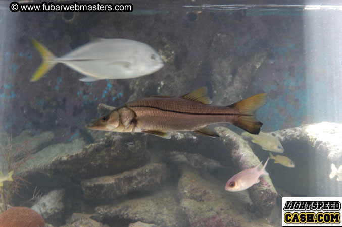 Encounter the Dolphins 2003