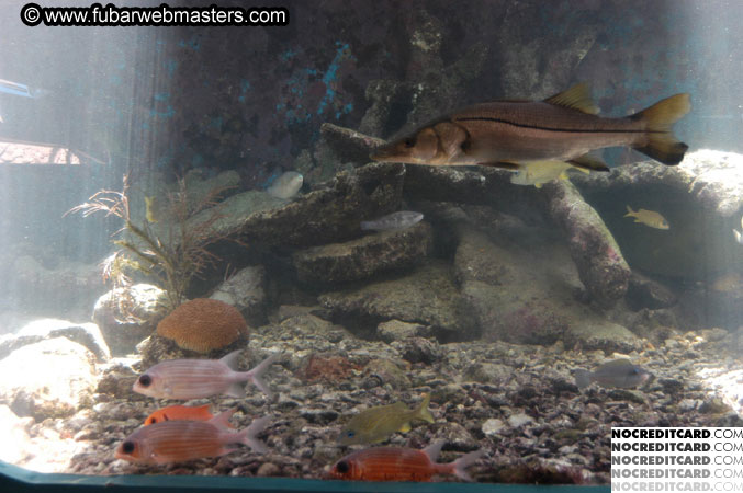 Encounter the Dolphins 2003