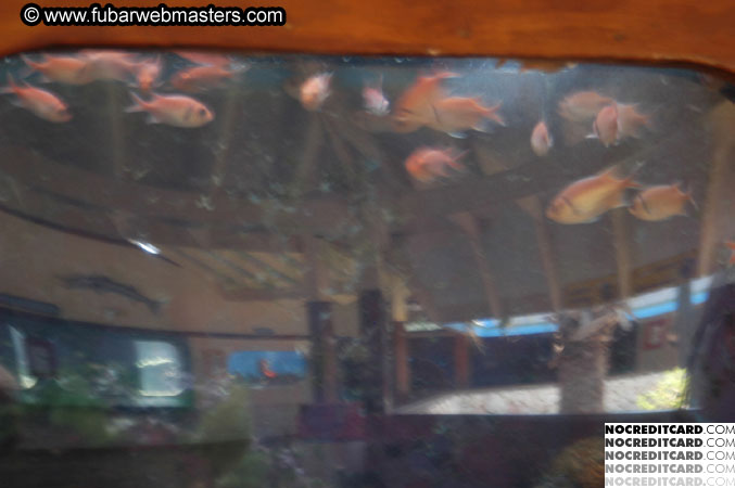 Encounter the Dolphins 2003