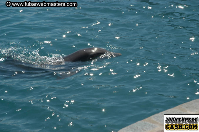 Encounter the Dolphins 2003