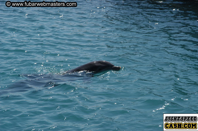 Encounter the Dolphins 2003