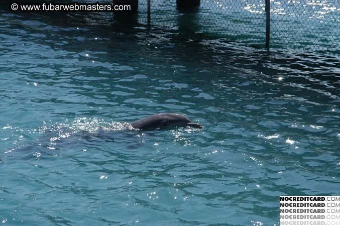 Encounter the Dolphins 2003