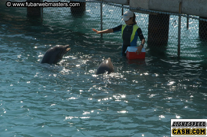 Encounter the Dolphins 2003