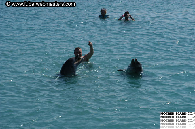 Encounter the Dolphins 2003