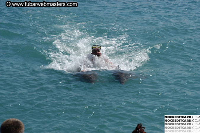 Encounter the Dolphins 2003