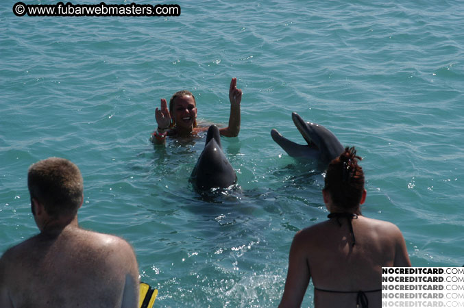 Encounter the Dolphins 2003