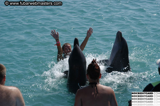 Encounter the Dolphins 2003