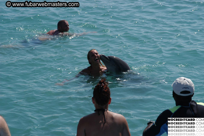 Encounter the Dolphins 2003