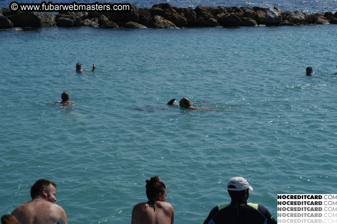 Encounter the Dolphins 2003