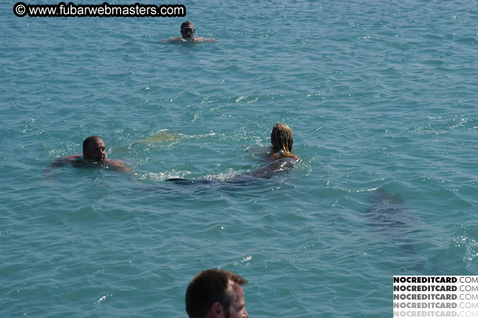 Encounter the Dolphins 2003