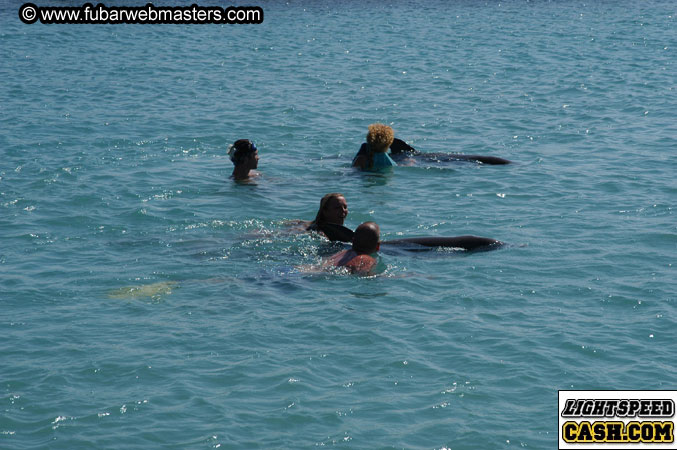 Encounter the Dolphins 2003