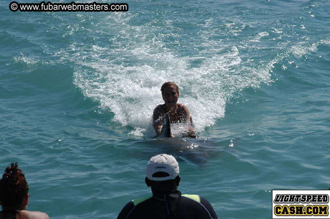 Encounter the Dolphins 2003