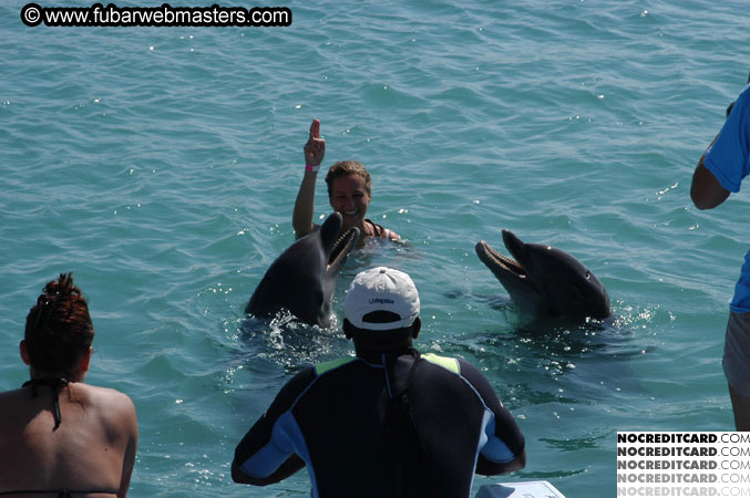 Encounter the Dolphins 2003