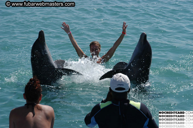 Encounter the Dolphins 2003