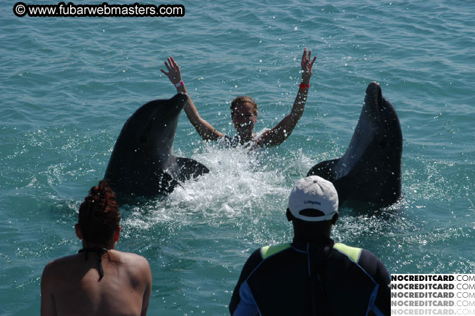 Encounter the Dolphins 2003