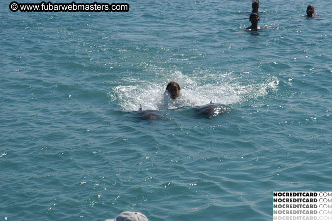 Encounter the Dolphins 2003
