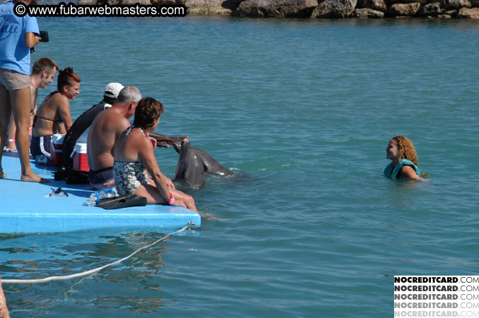 Encounter the Dolphins 2003