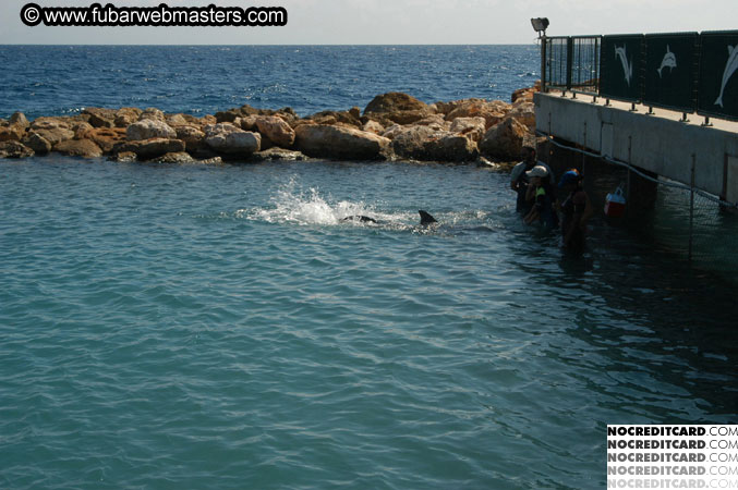 Encounter the Dolphins 2003