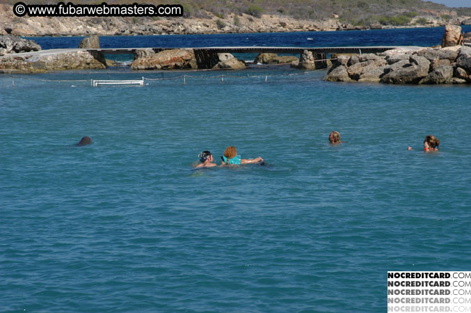 Encounter the Dolphins 2003