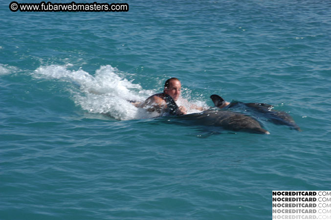 Encounter the Dolphins 2003