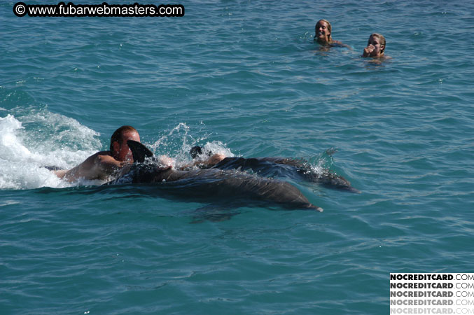 Encounter the Dolphins 2003