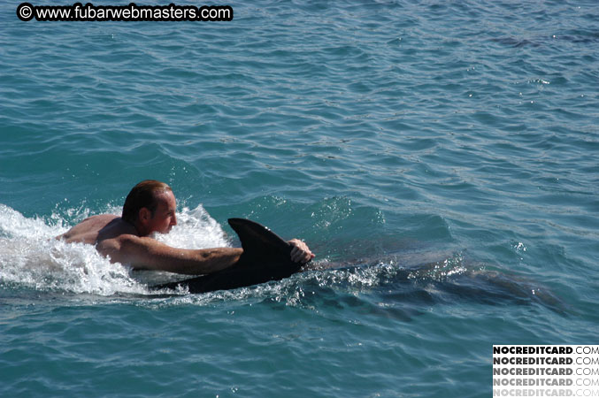 Encounter the Dolphins 2003