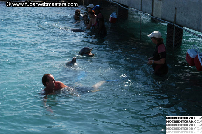 Encounter the Dolphins 2003