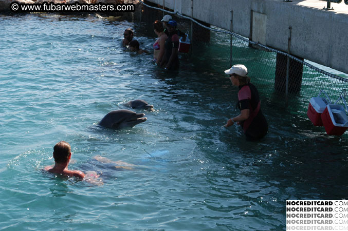 Encounter the Dolphins 2003