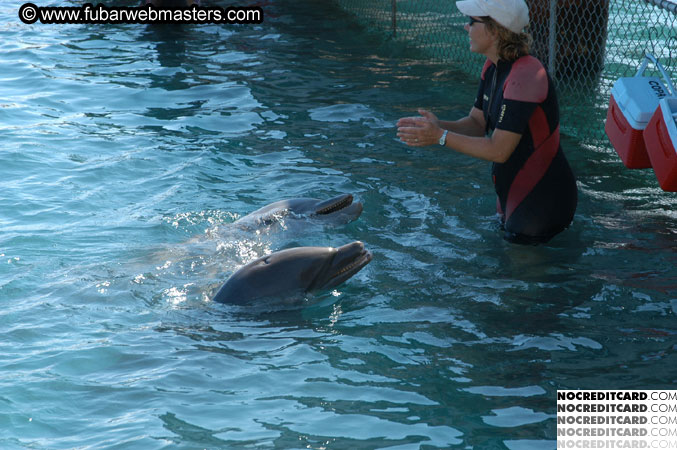 Encounter the Dolphins 2003